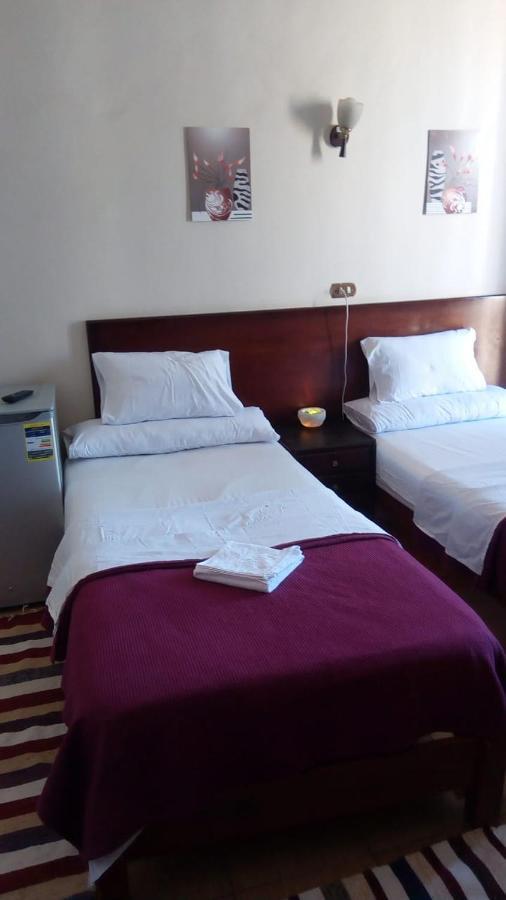 Transit Alexandria Hostel Zewnętrze zdjęcie