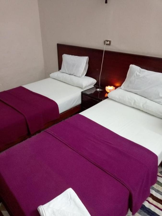 Transit Alexandria Hostel Zewnętrze zdjęcie